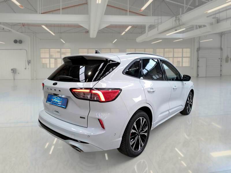 Ford Kuga III (2019 - ) image