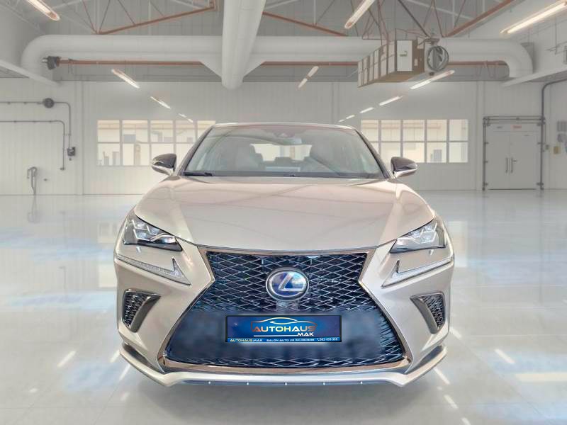 Lexus NX I (2014 - 2021) image