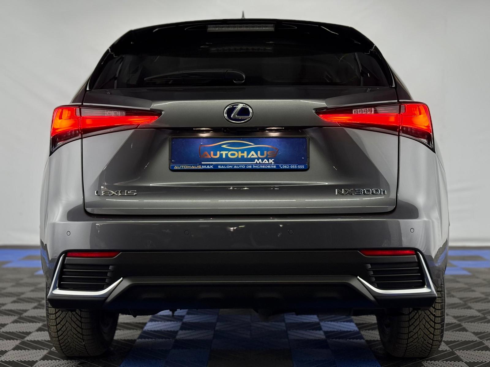 Lexus NX I (2014 - 2021) image