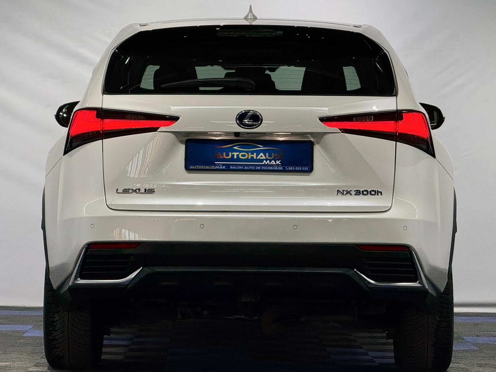 Lexus NX I (2014 - 2021) image