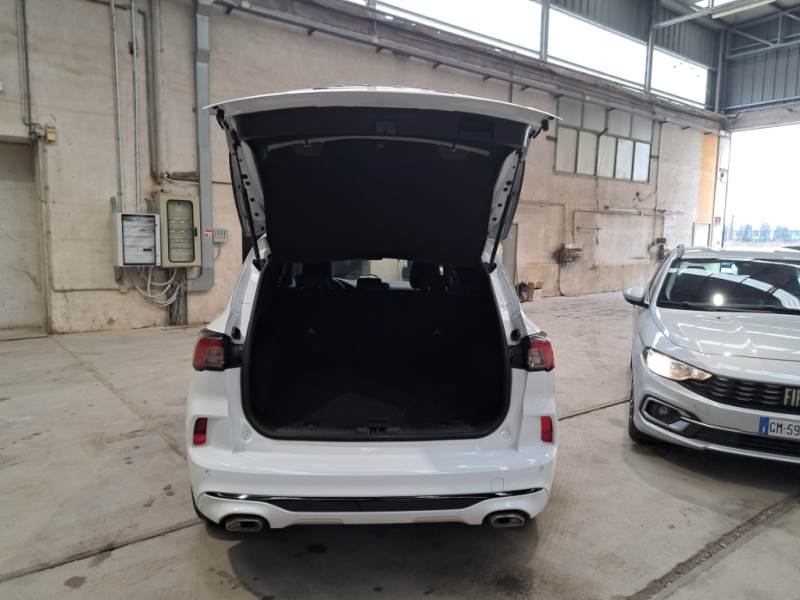 Ford Kuga III (2019 - ) image